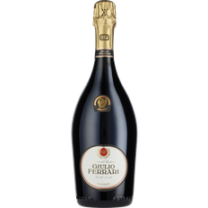 2010 Giulio Ferrari Riserva del Fondatore Brut Trentodoc Magnum