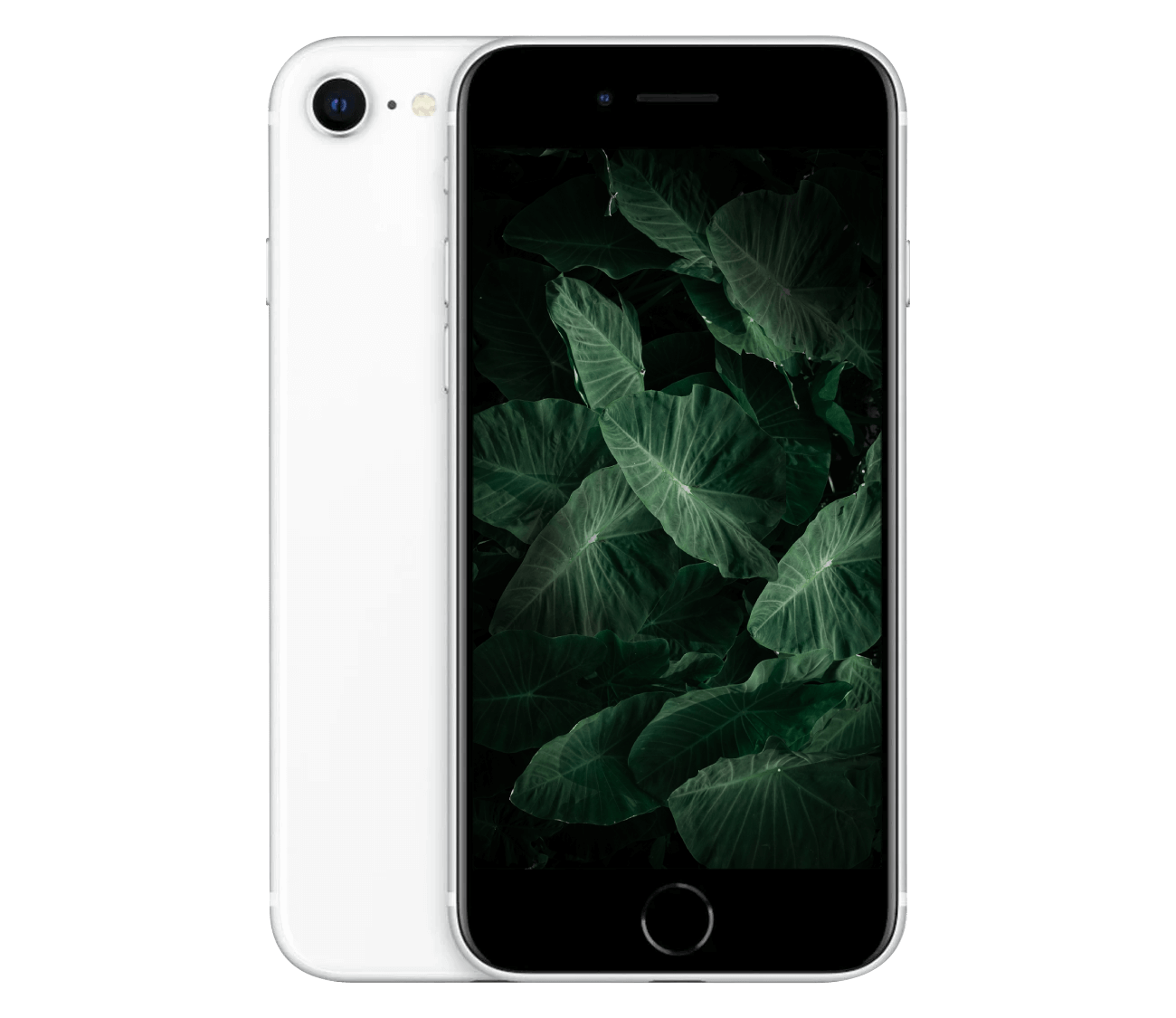 iPhone SE 2020