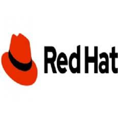 Red Hat Directory Server Small Business Bundle - Abonnemang (3 år) - 1 server - Linux, HP-UX, Solaris - med Red Hat Enterprise Linux AS Premium Edition