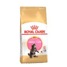 Kitten Maine Coon - 10 kg