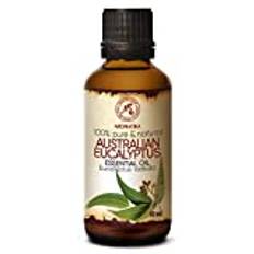 Eucalyptus Essential Oil 50ml - Naturlig & Ren Australisk Eucalyptus Radiata Oil - Bästa Doftolja för Aromspridare - Luftfuktare - Brännare - Bastu - Aromaterapi - Yoga