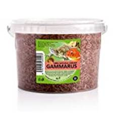 UGF - Premium Gammarus sötvattensräkor torkade, 3 liters hink ≈ 300g, sköldpaddsmat, fiskmatsakvarium, axolotlmat, hamstermat, igelkottsmat, koimat, råttfoder