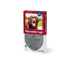 Bayvantic Vet. hund 25-40 kg - 4x4,0ml