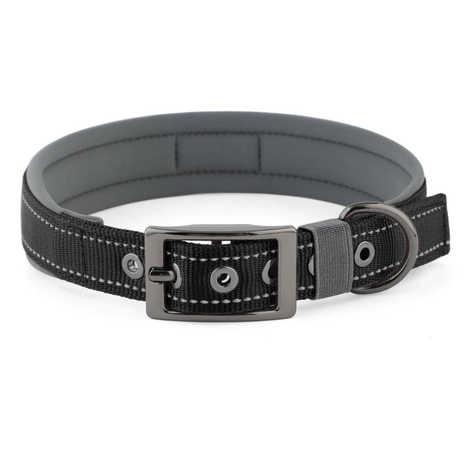 Neoprene Padded Reflective Dog Collar with Metal Buckle - Black / XL / SP