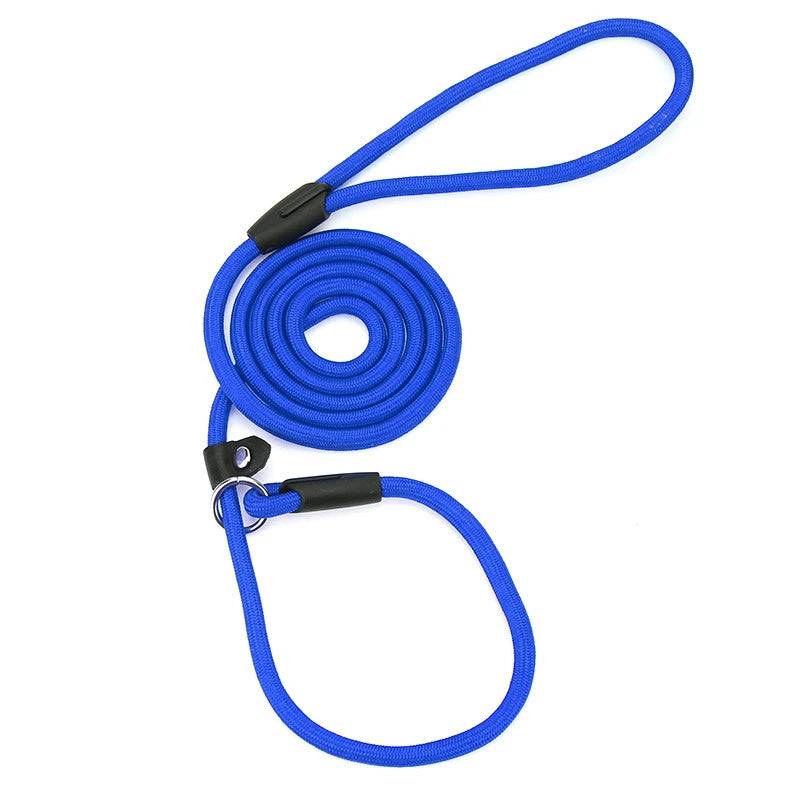 Nylon Slip Lead Training Leash for Small & Medium Dogs - Blue / L-diameter 1.0 cm / SPC (L-diameter 1.0 cm)