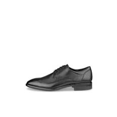 ECCO CITYTRAY Derbysko skinn herr