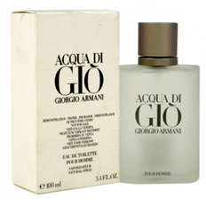 Armani Acqua di Gio Pour Homme edt 100ml (Bottle Tester)