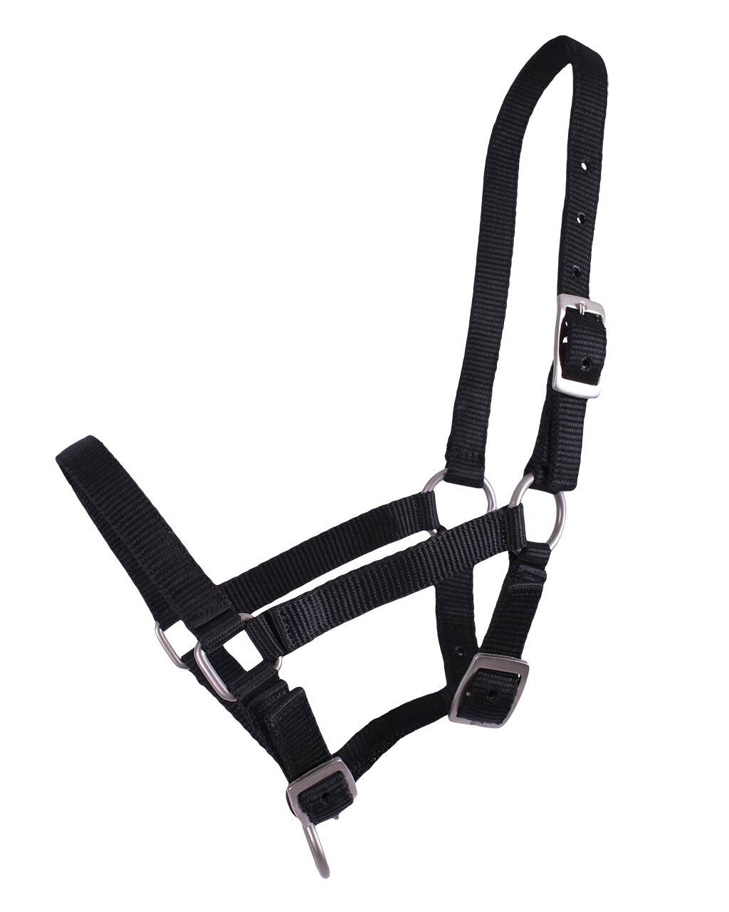 QHP Følgrime Føl/Falabella (01) Sort