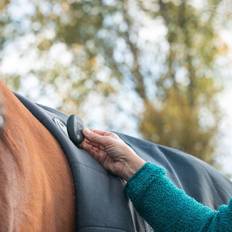 Horsepal Comfort Sensor