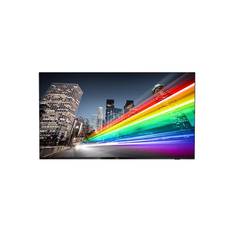 Philips 75BFL2214 B-Line Professional Series - 75" LED-backlit LCD TV - 4K