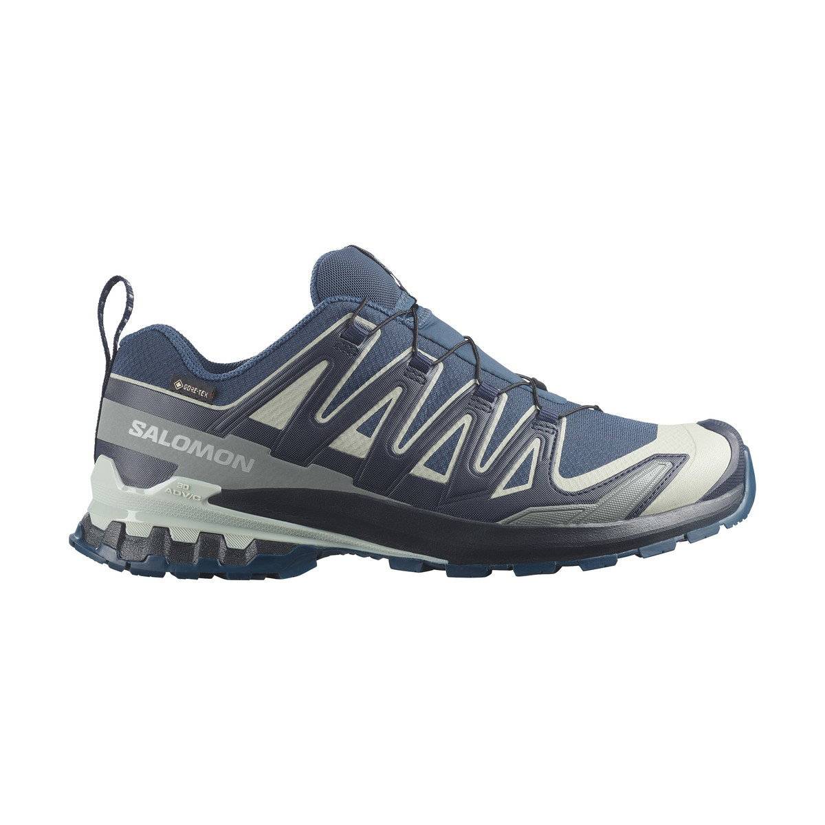 Salomon Xa Pro 3d V9 Gtx Vandresko, Herre (Spellbound / Maritime Blue Wrought Iron).