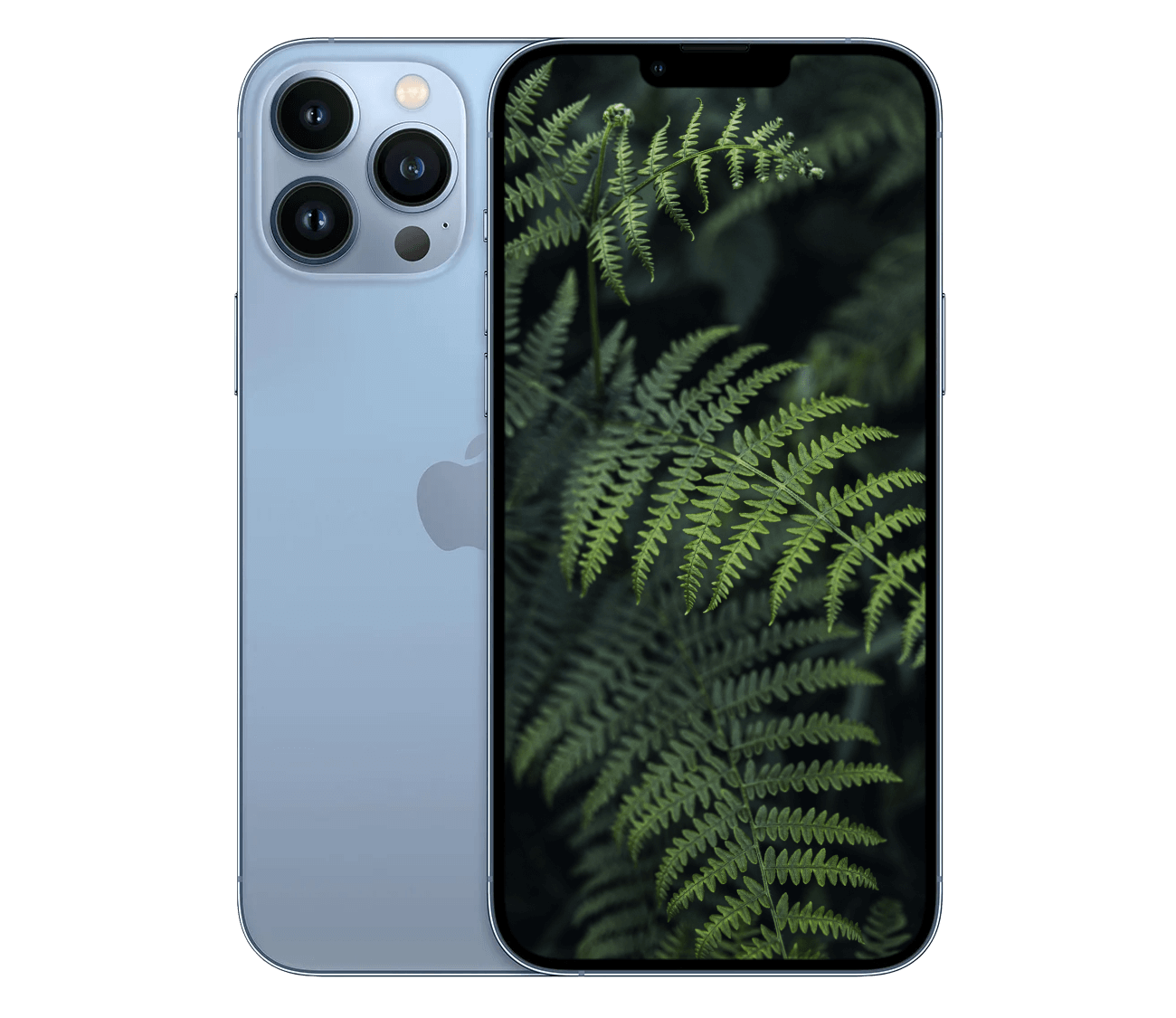 iPhone 13 Pro