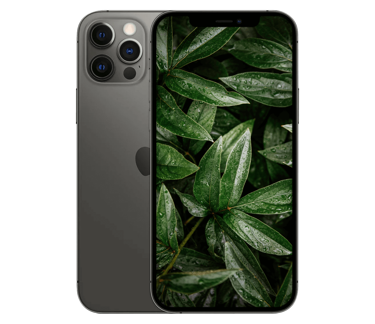 iPhone 12 Pro