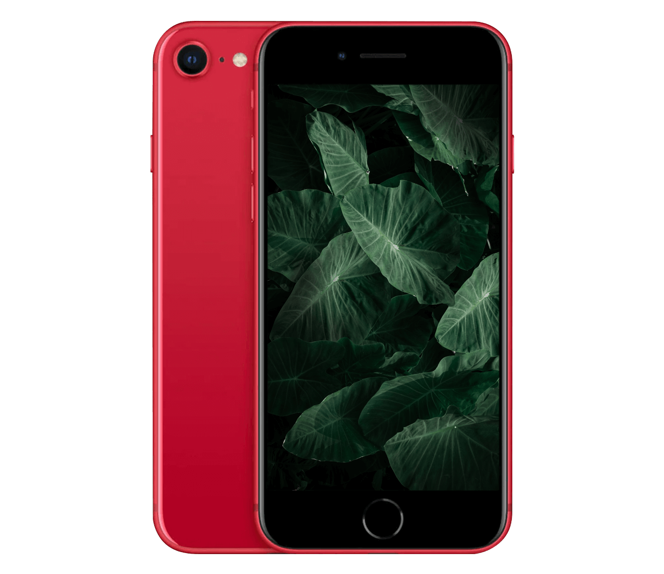 iPhone SE 2020