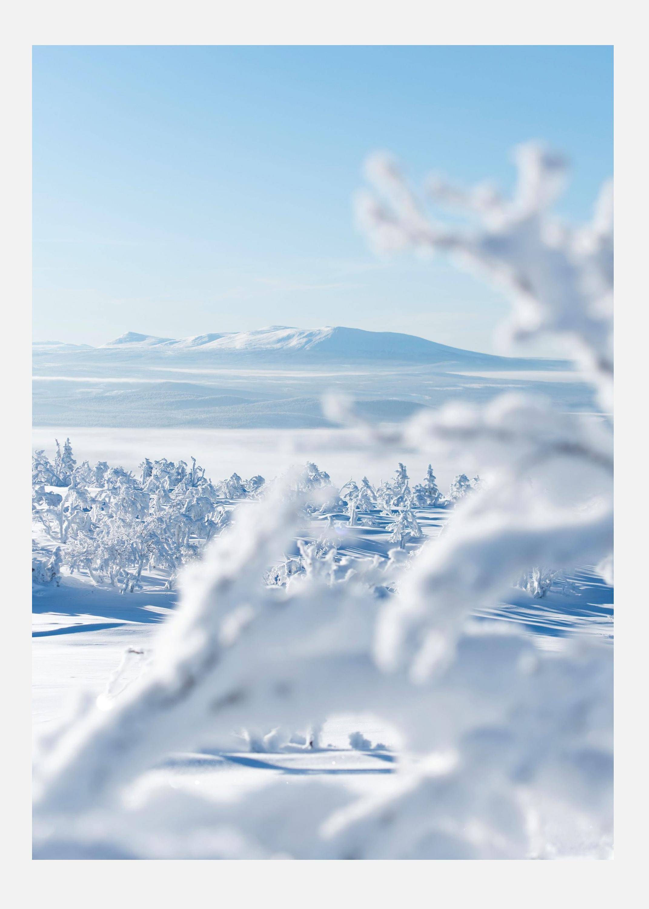 The Silence Of Snowlight Canvastavla (70x100 cm)