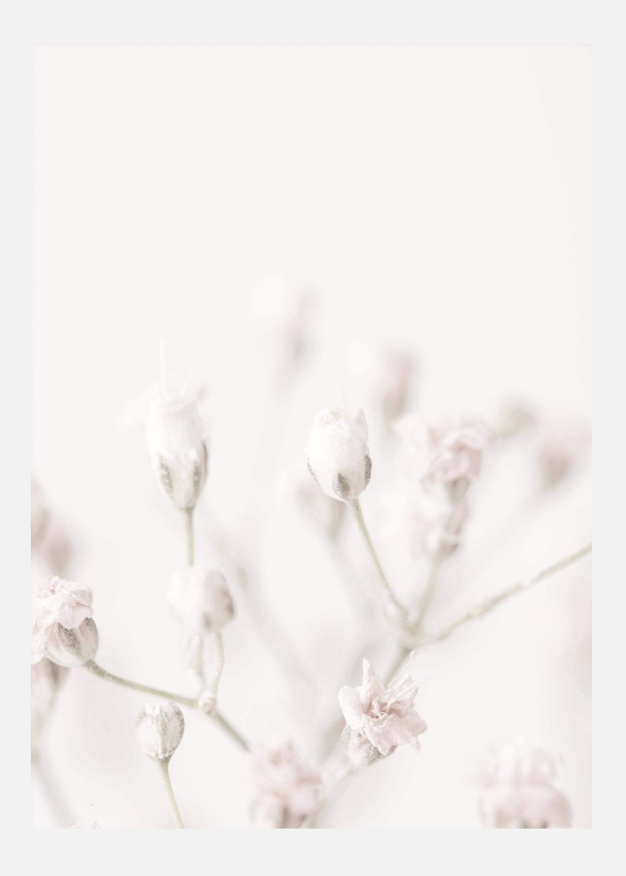 Pink Small Flowers Canvastavla (30x40 cm)