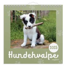 Mayland Vægkalender mini Hundehvalpe 2025