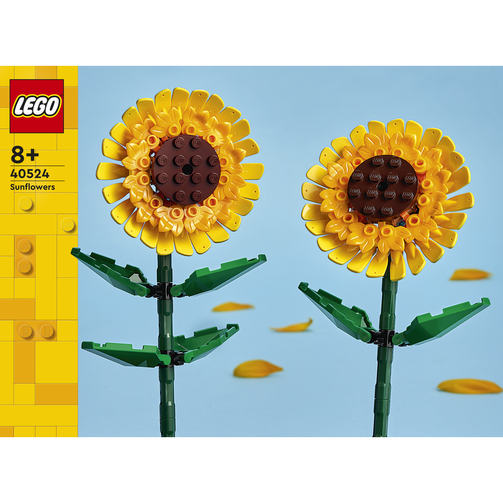 40524 Solsikker