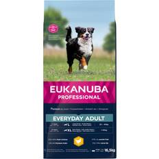 Eukanuba Everyday Adult Large Breed (Kylling)