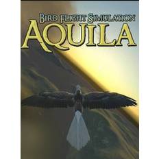 Aquila Bird Flight Simulator Steam Key GLOBAL