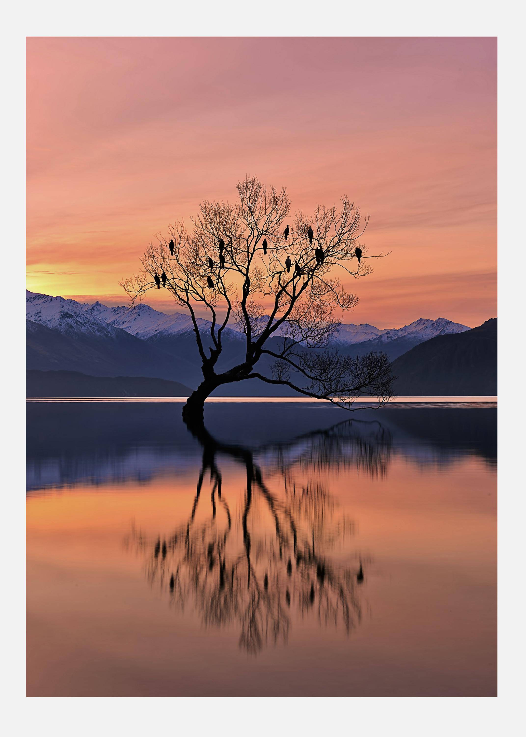 Lone Tree Is Not Lonely Canvastavla (100x140 cm)