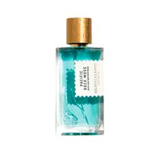 Pacific Rock Moss Perfume Concentrate - 100 Ml