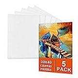 Canvas för målning set (5-pack) – 30 x 40 cm, dukar