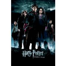 Konsttryck Harry Potter - Den flammande bägaren, 26.7 × 40 cm