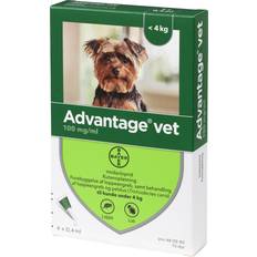 Advantage Vet - Loppemiddel til hunde - 25-40 kg.