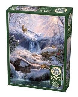 Pussel Mystic Falls på vinter 1000 bitar