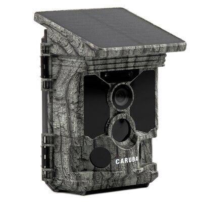 Caruba Wildlife camera raccoon solar 4K