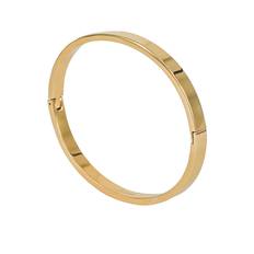 Arock WALTER Armring Blankt Guld - 364901