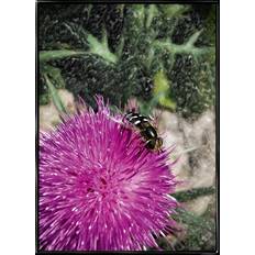 Svirrefluen, plakat - B2 (50x70 cm)