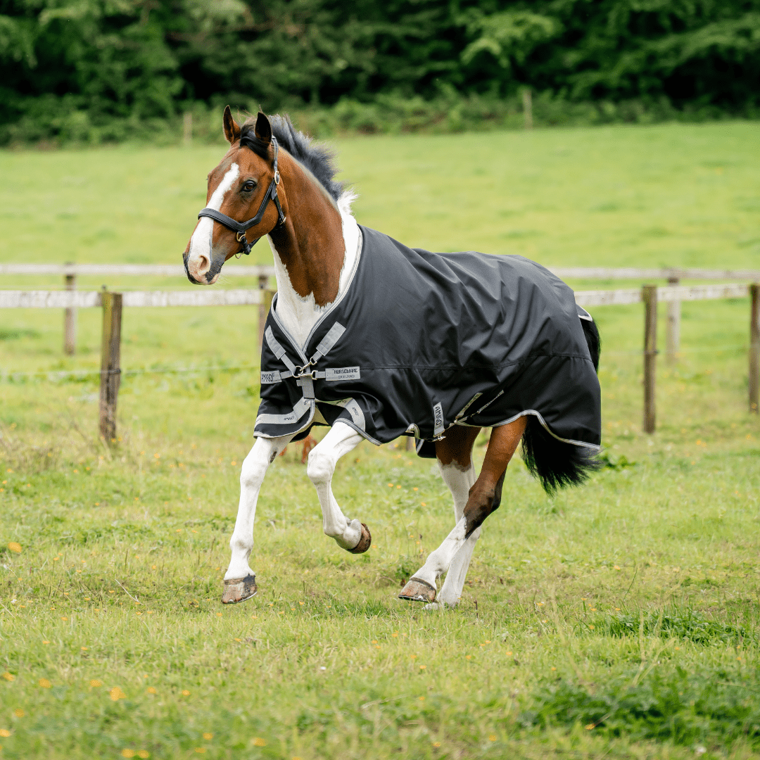 Horseware Amigo - 1200D Regndækken - 50 gram - Sort - Black/Titanium Grey and Silver / 155