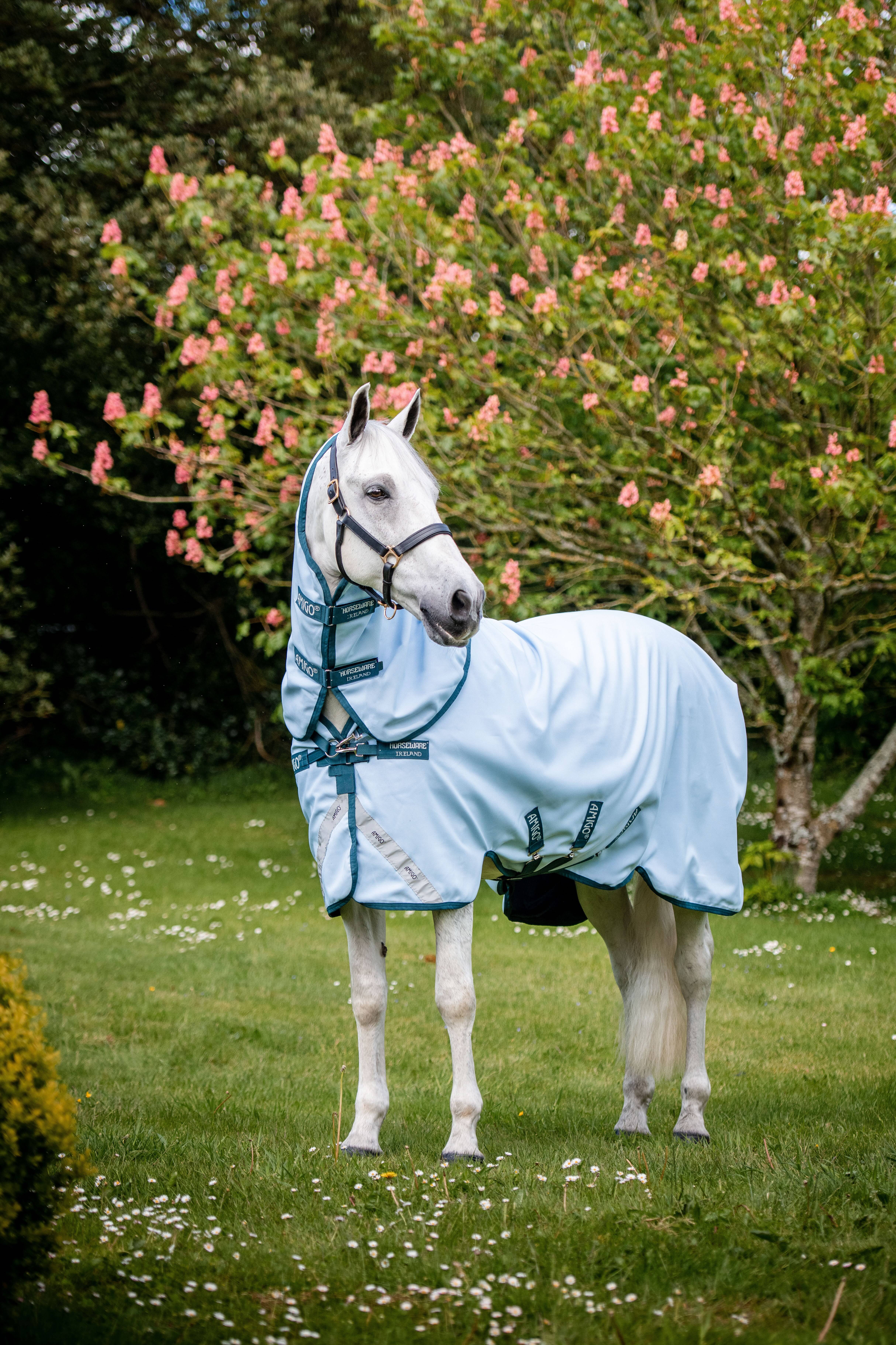 Amigo Plant-Dye T/O - 50gr, Horseware