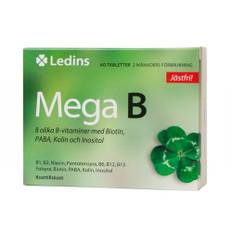 Ledins | Mega B