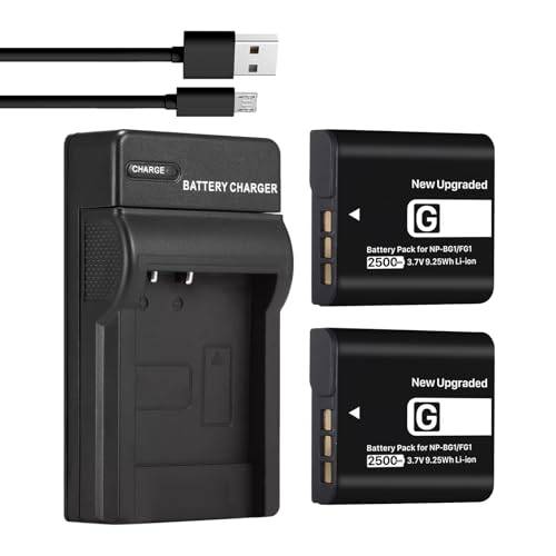 2500 mAh batteri (2 st) och USB-laddare för Sony NP-BG1 NPFG1 NP-FG1 NPBG1 och för Cyber-Shot DSC-W120 W150 W220 DSC-H3 H7 H9 H10 H20 H50 H55 H70 DSC-HX7V DSC-HX300 V DSC-HX9V. DSC-HX10V