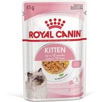 Royal Canin Kitten i gelé - Ekonomipack: 24 x 85 g