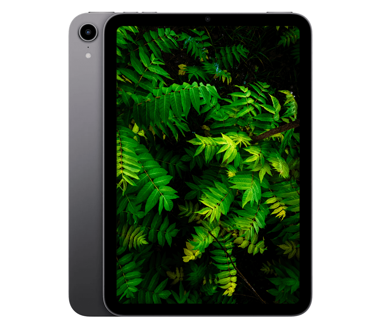 iPad Mini 6 (2021) 8.3" WiFi + 5G