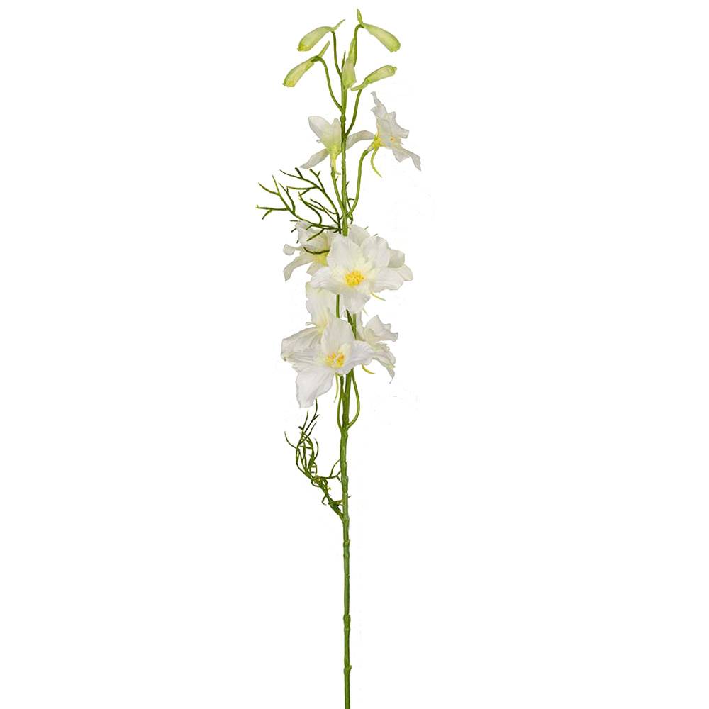 Delphinium Vit - 65 cm