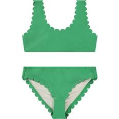 Nolina Garden Green