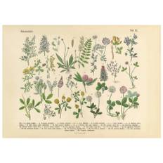 Victorian Garden No1 Poster (50x70 cm)