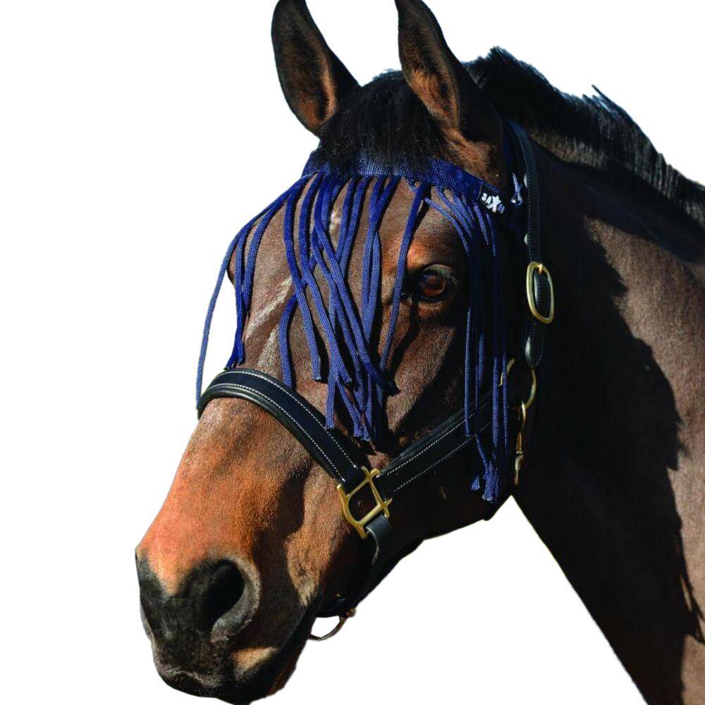 Saxon Horse Fly Fringe Pony