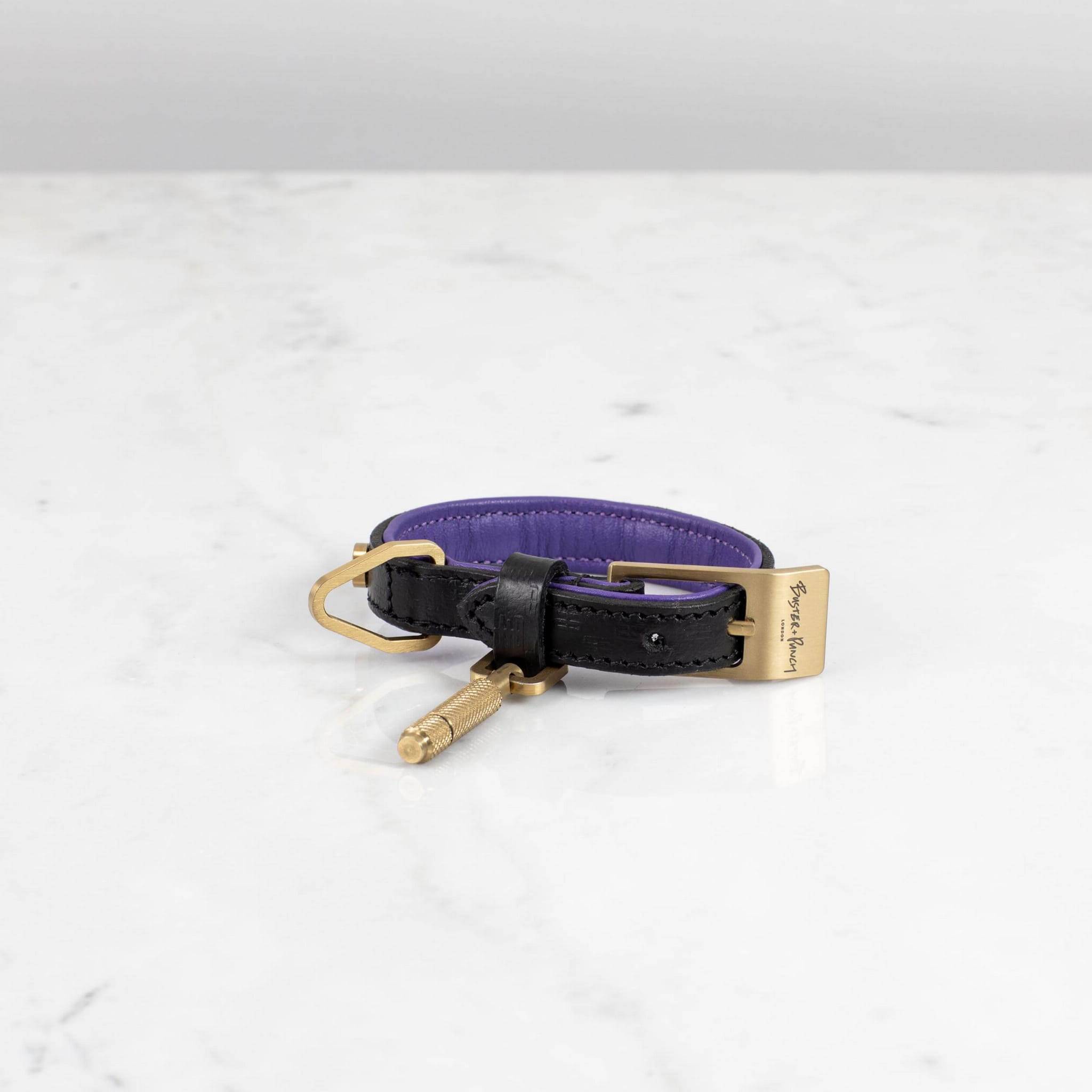 Hundhalsband XS Läder Guld