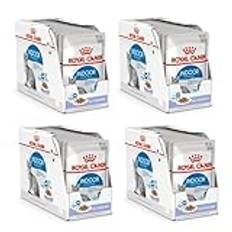 Royal Canin Indoor steriliserad i gelé | 4-pack | 4 x 12 x 85 g | Helfoder för vuxna katter som bor i huset | För steriliserade katter | aptitretare i gelé