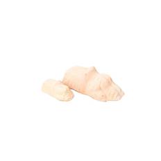 LION FEET - NATURA - LARGE - 10 cm