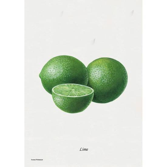 Litografi - Lime.