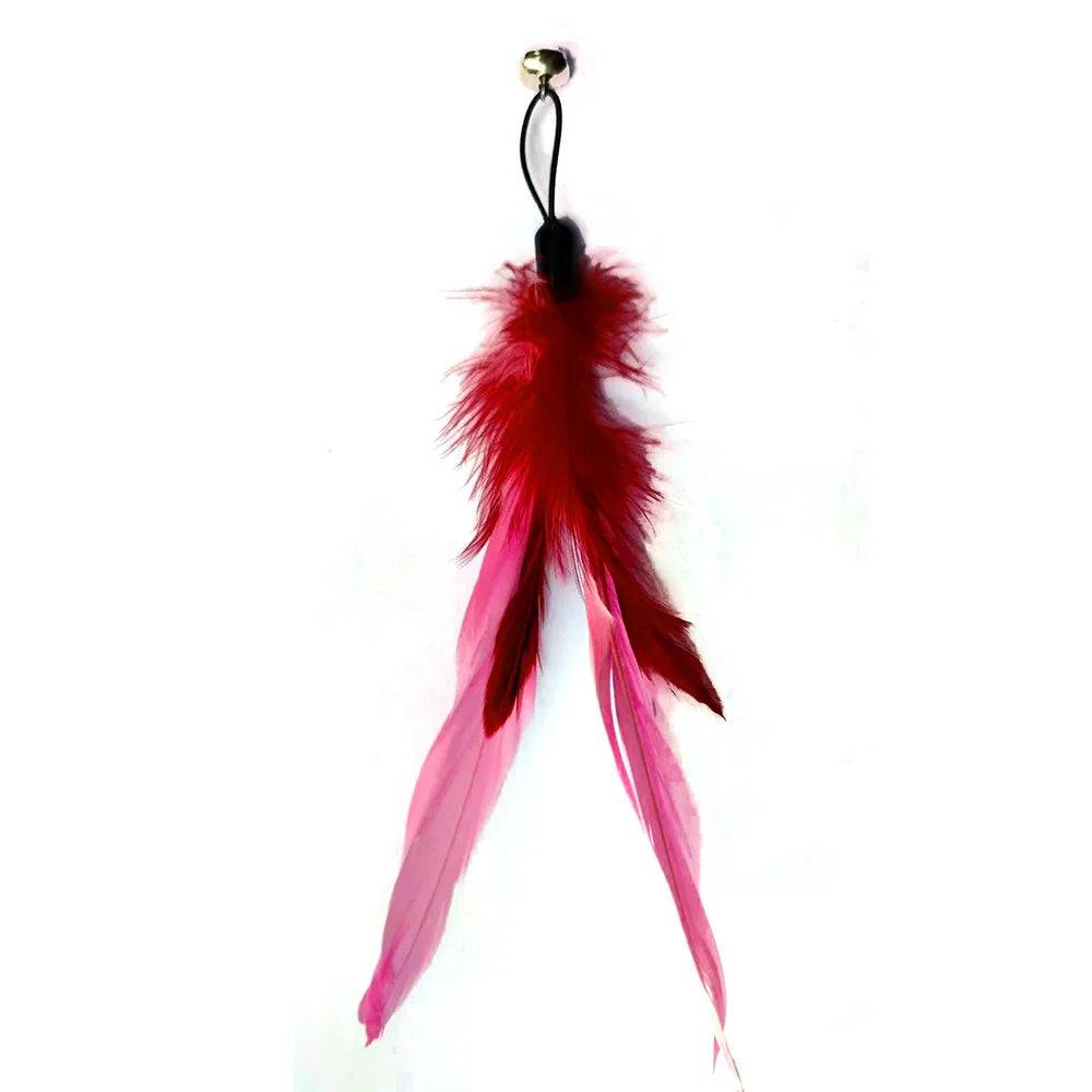 Feather Wand Cat Toy with Bell & Worm String - Interactive Teaser Set - THT-5-Red