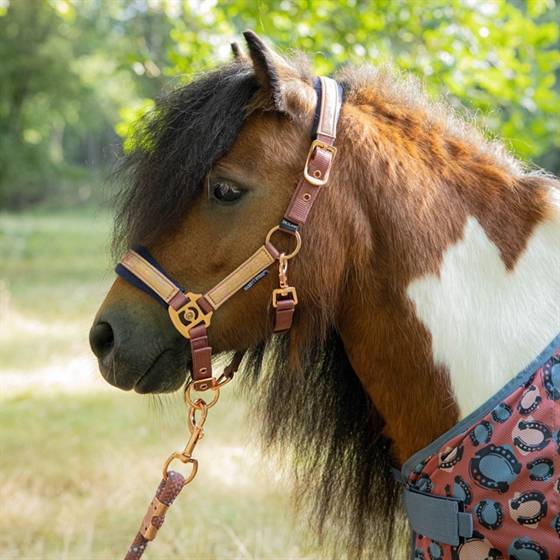 Harry's Horse Mini Grime Diva Mauvewood.
