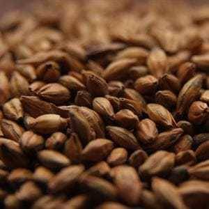 Castle Malting - Café light Malt, EBC: 220 - 280 - 25 kg